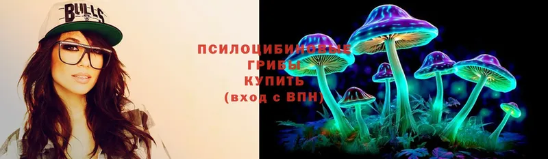 Галлюциногенные грибы Cubensis  купить  цена  Зарайск 